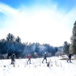 Winter Fun Cold Creek Conservation Area Nobleton York Region